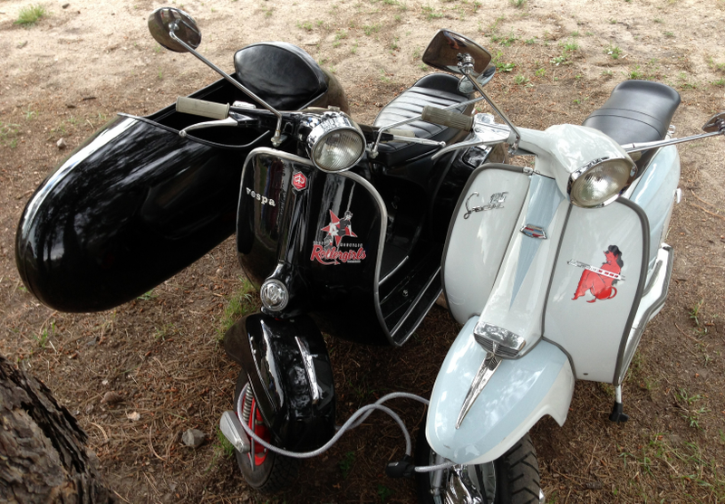 Illustration for article titled Roller Derby Chick Rides a Vespa with a Sidecar